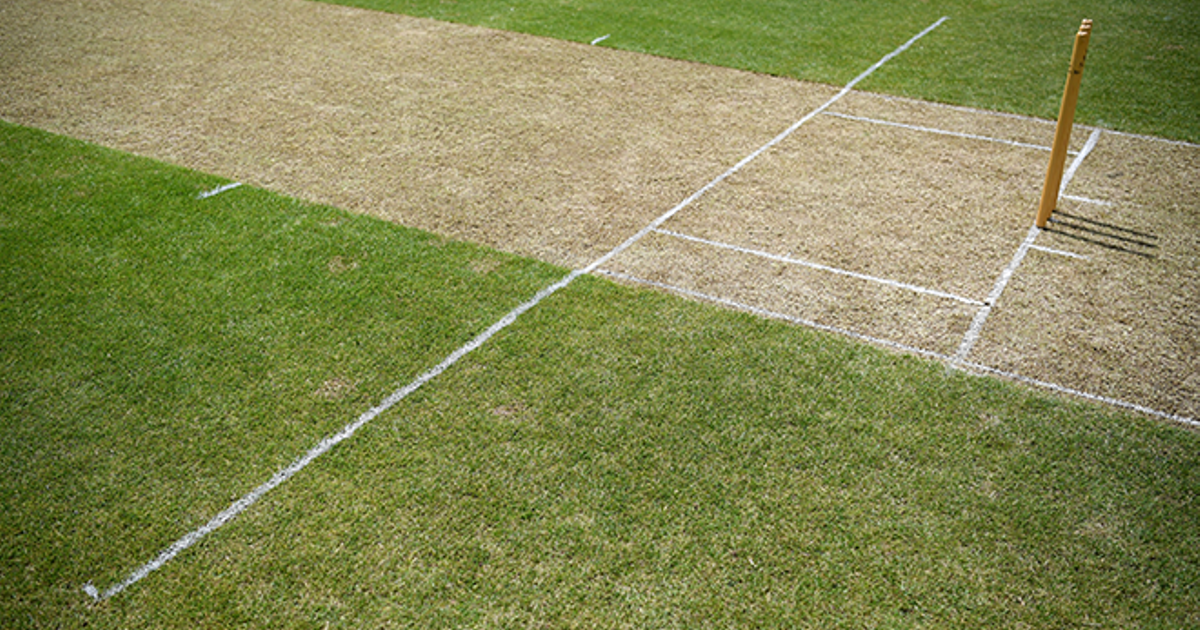 Guidance for organised Cricket activity in England | Wiltshire Cricket